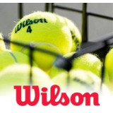 Cartons Wilson